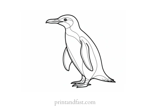 penguin Coloring Page Detailed