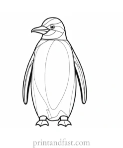 penguin Coloring Page Emperor