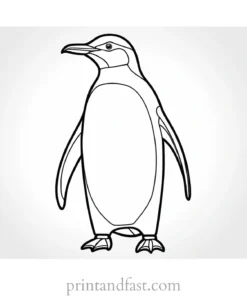 penguin Coloring Page Free