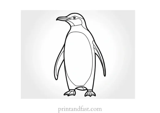 penguin Coloring Page Free