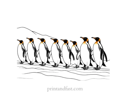 penguin Coloring Page March of the Penguins