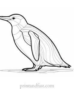 penguin Coloring Page Online