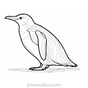 penguin Coloring Page Online