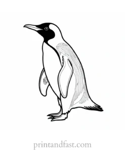 penguin Coloring Page PDF