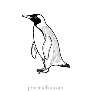 penguin Coloring Page PDF