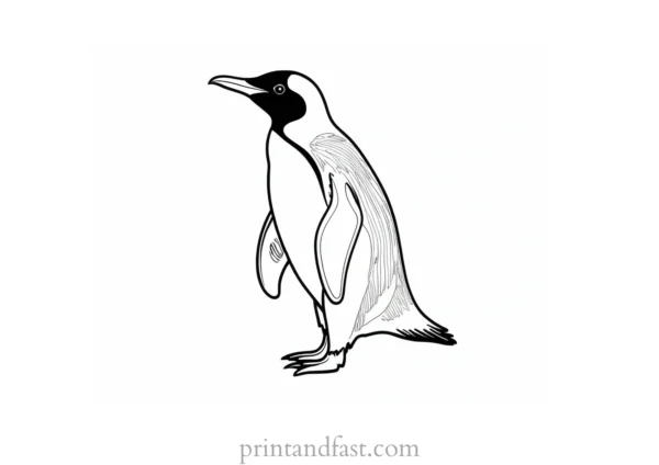 penguin Coloring Page PDF