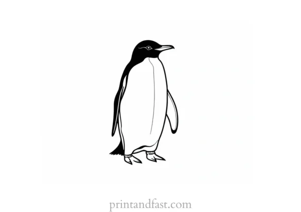 penguin Coloring Page Winter