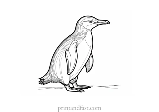 penguin Coloring Page Worksheet