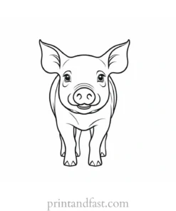 pig coloring page baby