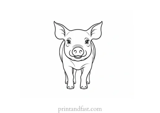 pig coloring page baby