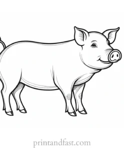 pig coloring page cartoon