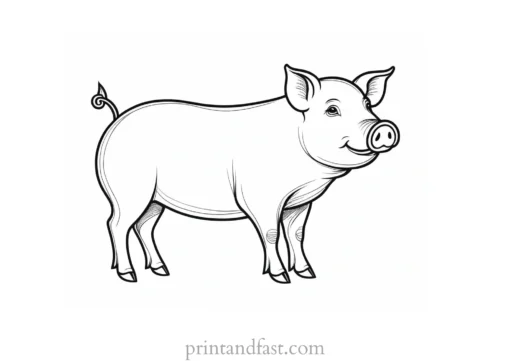 pig coloring page cartoon