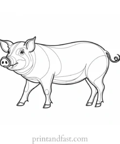 pig coloring page digital