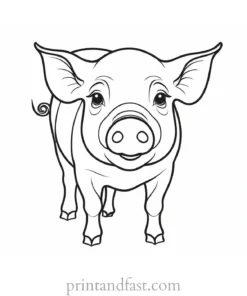 pig coloring page drawing