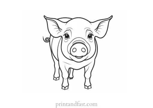 pig coloring page drawing