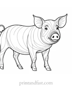 pig coloring page easy