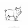 pig coloring page free