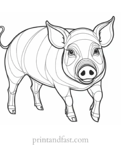 pig coloring page fun