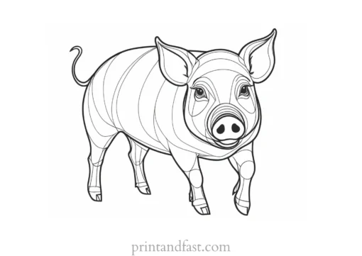 pig coloring page fun