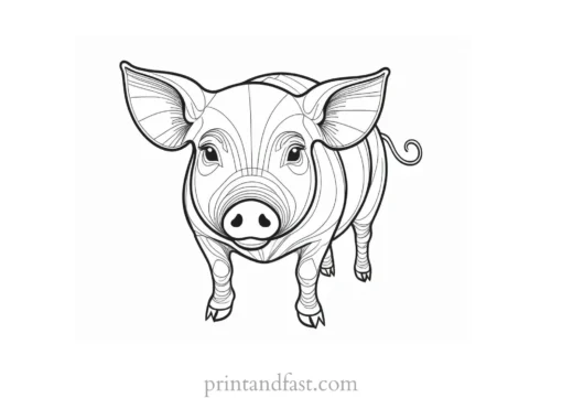 pig coloring page hard