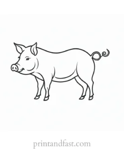 pig coloring page outline