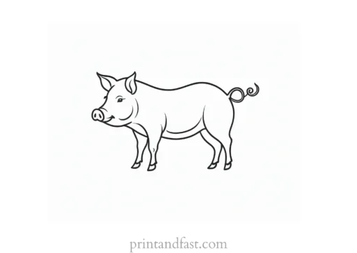 pig coloring page outline