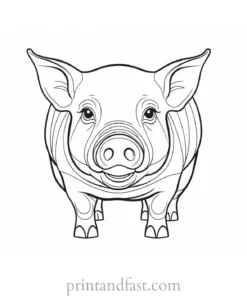 pig coloring page simple