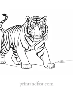 playful tiger coloring page