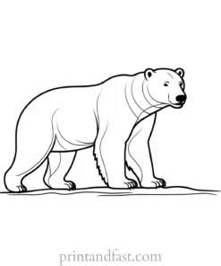 polar Bear Coloring Page