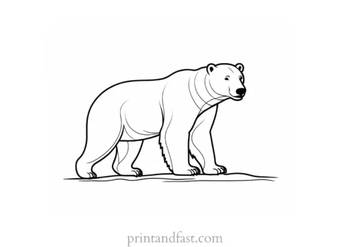 polar Bear Coloring Page