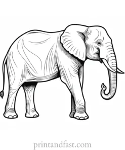 printable elephant coloring page