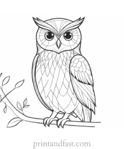 printable owl coloring page