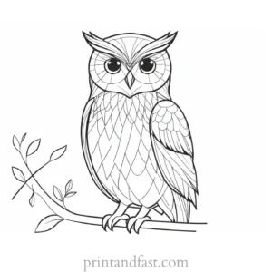 printable owl coloring page