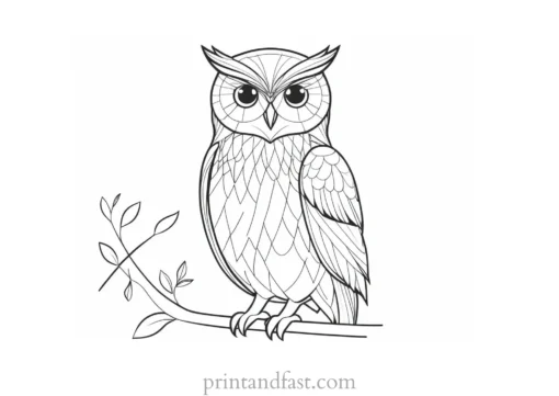 printable owl coloring page