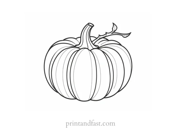 pumpkin coloring page for kids