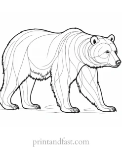 realistic Bear Coloring Page