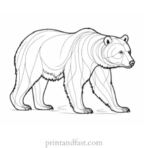 realistic Bear Coloring Page