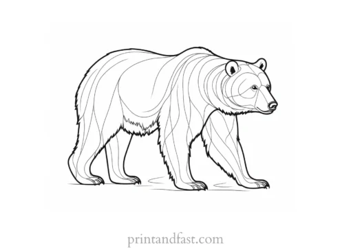 realistic Bear Coloring Page