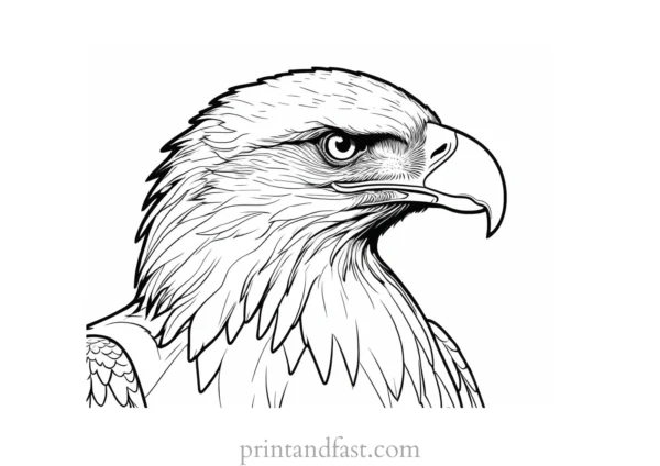 realistic eagle coloring page