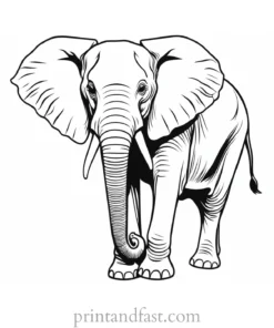 realistic elephant coloring page