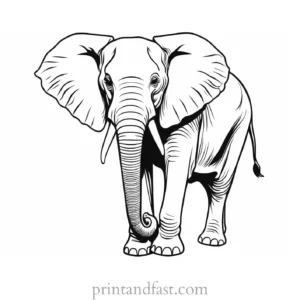 realistic elephant coloring page