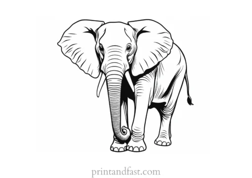 realistic elephant coloring page