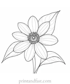 realistic flower coloring page