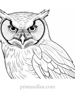 realistic owl coloring page