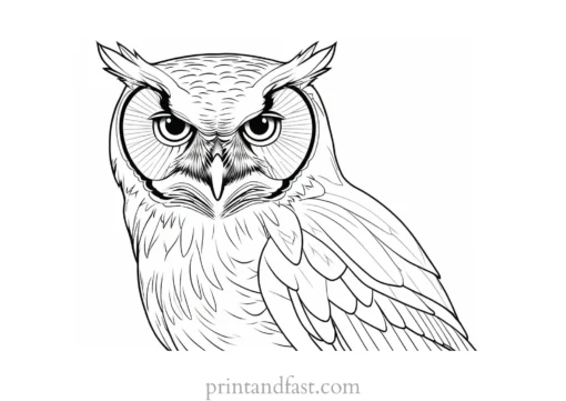 realistic owl coloring page