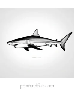 realistic shark coloring page