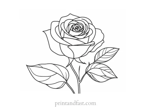 rose coloring page beautiful