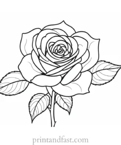 rose coloring page black and white