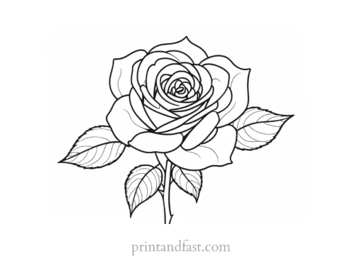 rose coloring page black and white