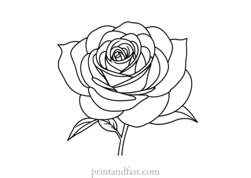 rose coloring page design